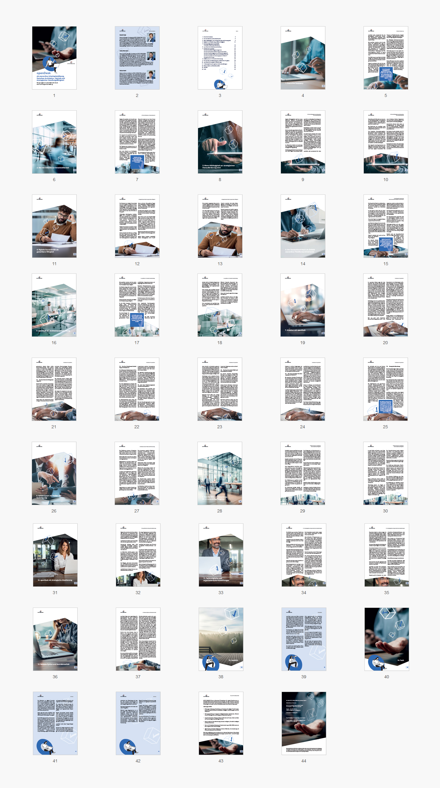 Seitenübersicht des Whitepapers "openDesk"
