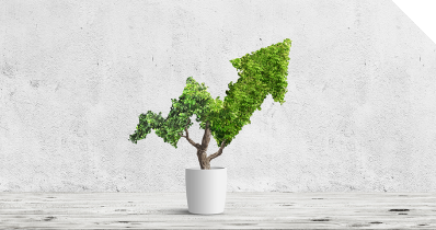 Eine Grünpflanze, die in Form eines Pfeils positiv nach oben wächst