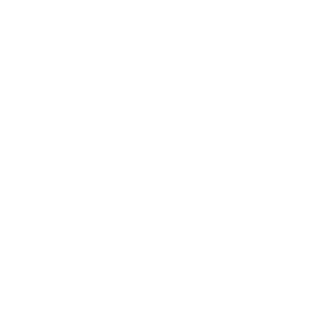 Icon: Ein Schutzschild in weiß